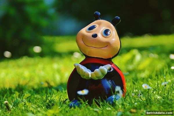 体育博彩风险下的数字选号助手：科学工具还是心理陷阱？