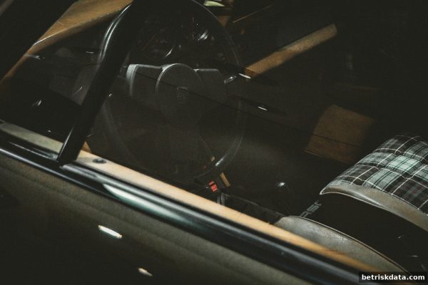 体育博彩风险解析：电子游艺游戏波动性的深层影响