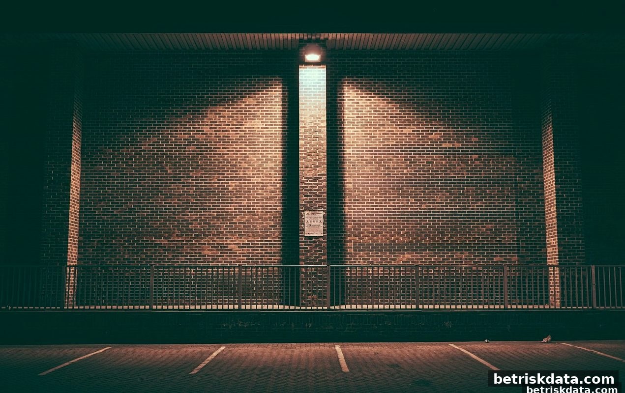 红中麻将Bonus机制全解析:体育博彩风险背后的奖励心理与策略陷阱