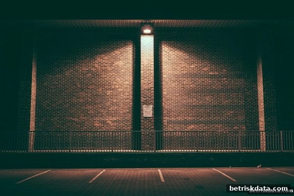 红中麻将Bonus机制全解析：体育博彩风险背后的奖励心理与策略陷阱