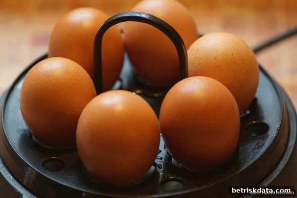 免费旋转机制揭秘：体育博彩风险视角下的理性娱乐指南